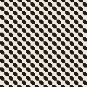Pied de Poule — lá virxe branco e negro